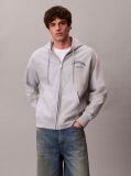 Grey Varsity Logo Zip-Up Hoodie  Men