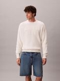 Denim 90s Relaxed Denim Shorts  Men