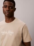 Brown Embroidered Logo T-shirt  Men