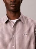 Brown Relaxed Fit Stripe Washed Poplin Shirt  Men