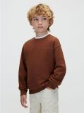 Brown Back Graphic Sweatshirt  Boys