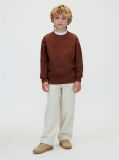 Brown Back Graphic Sweatshirt  Boys