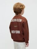 Brown Back Graphic Sweatshirt  Boys