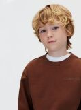 Brown Back Graphic Sweatshirt  Boys