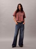 Brown Short Sleeve Cropped Boxy Graphic T-Shirt  Women