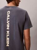 Μπλε T-Shirt Με Washed Φινίρισμα Και Γραφικό Λογότυπο  Άνδρας