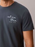 Μπλε T-Shirt Με Γραφικό Λογότυπο Και Στρογγυλή Λαιμόκοψη  Άνδρας