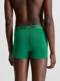 Green Trunk - Essential Calvin  Men