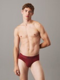 Red Briefs - CK Established  Men