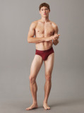 Red Briefs - CK Established  Men
