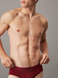 Red Briefs - CK Established  Men