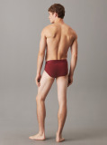 Red Briefs - CK Established  Men