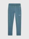 Blue Organic Blend Joggers  Boys