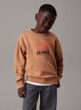 Orange Relaxed Logo Sweatshirt  Boys