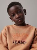 Orange Relaxed Logo Sweatshirt  Boys