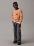 Orange Relaxed Logo Sweatshirt  Boys