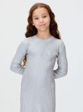 Silver Silver Coated Dress  Girls