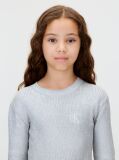 Silver Silver Coated Dress  Girls