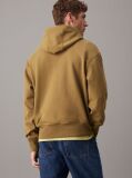 Brown Cotton Terry Hoodie  Men