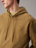 Brown Cotton Terry Hoodie  Men