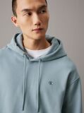 Grey Cotton Terry Hoodie  Men