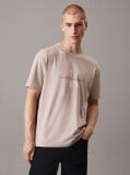 Γκρι T-Shirt Με Μονόγραμμα  Άνδρας