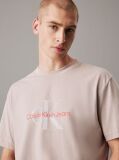 Γκρι T-Shirt Με Μονόγραμμα  Άνδρας