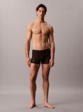 Black Sheer Mesh Trunks - CK Black  Men