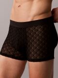 Black Sheer Mesh Trunks - CK Black  Men