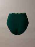 Green Shapewear Briefs - Icon  Women