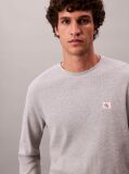 Grey Long Sleeve Waffle T-shirt  Men