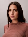Brown Shiny Ribbed Mock Neck Top  Women