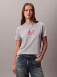 Γκρι T-Shirt Σε Slim Γραμμή Με Λογότυπο  Γυναίκα