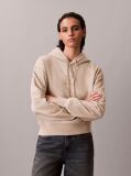 Beige Relaxed Premium Terry Hoodie  Women