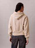 Beige Relaxed Premium Terry Hoodie  Women