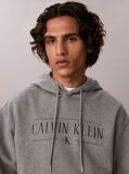 Grey Cotton Fleece Varsity Logo Hoodie  Men