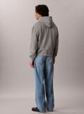 Grey Cotton Fleece Varsity Logo Hoodie  Men