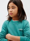 Green Kids' Logo Sweatshirt  Boys
