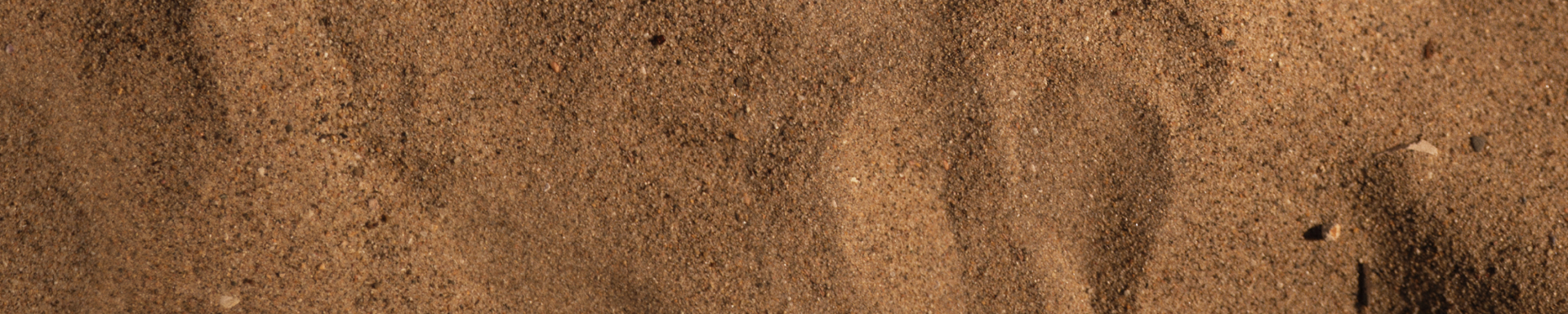 plp_banner_test-desktop-md-2
