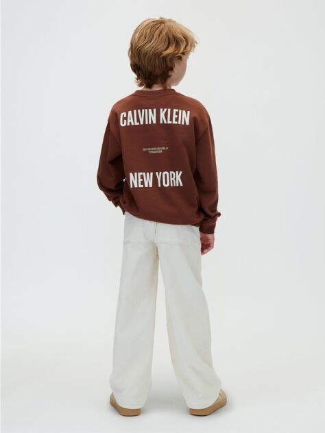Brown Back Graphic Sweatshirt  Boys