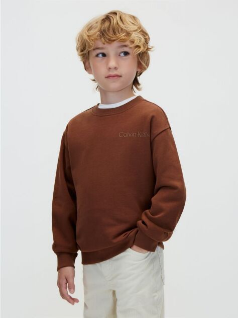 Brown Back Graphic Sweatshirt  Boys