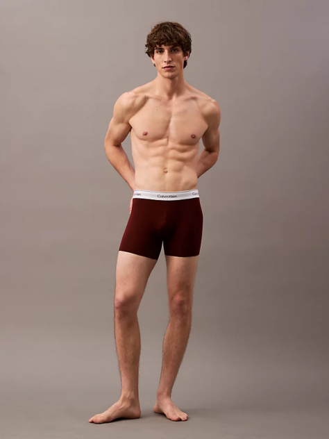 Multi 3 Pack Boxer Briefs - Modern Cotton  Men