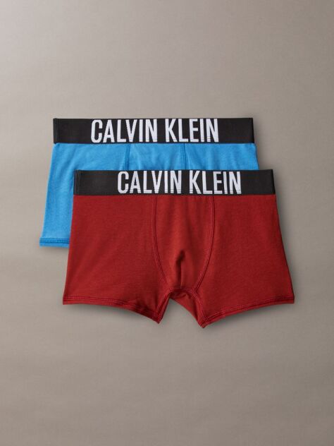 Multi 2 Pack Boys Trunks - Intense Power  Boys