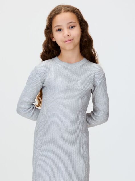 Silver Silver Coated Dress  Girls