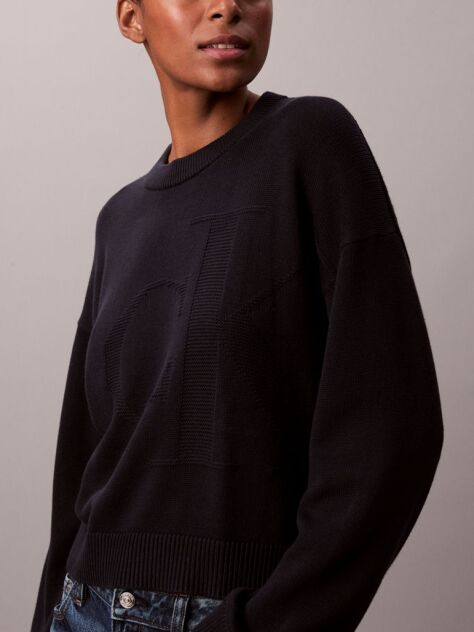 Blue Long Sleeve Smooth Cotton Sweater  Women