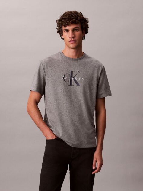 Γκρι T-Shirt Με Λογότυπο  Άνδρας