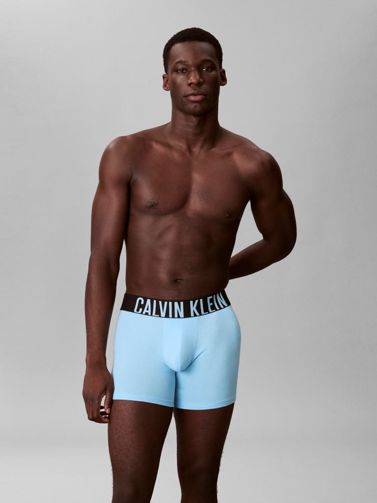 Multi 3 Pack Boxer Briefs - Intense Power Cotton  Men