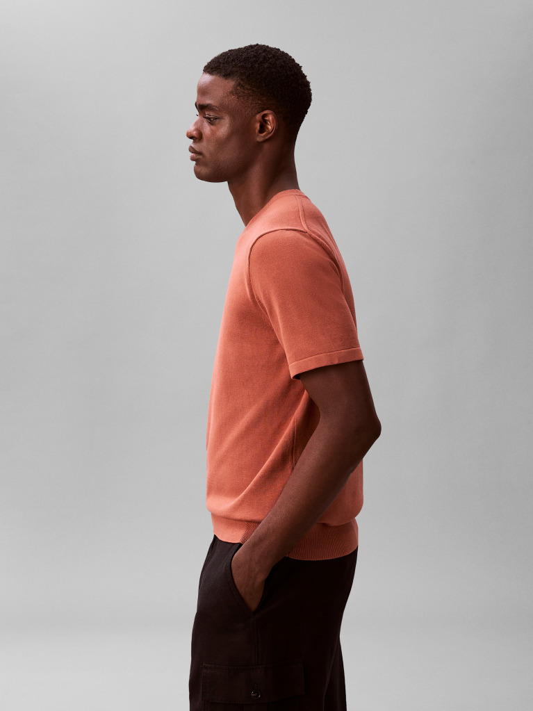 Brown Pima Cotton Short Sleeve Jumper  Men