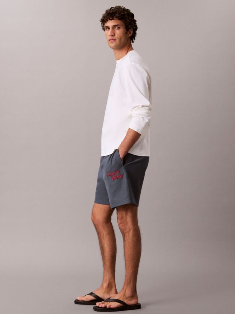 Blue Embroidered Logo Jogger Shorts  Men