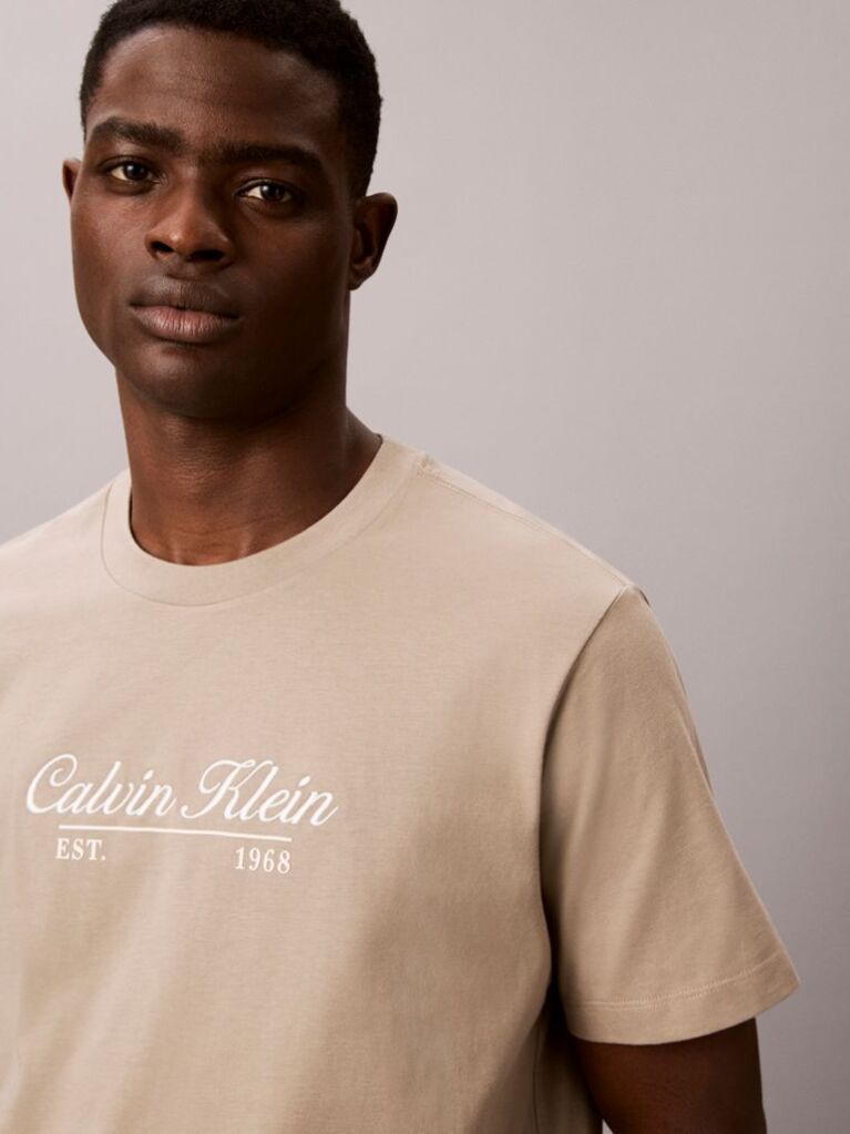 Brown Embroidered Logo T-shirt  Men